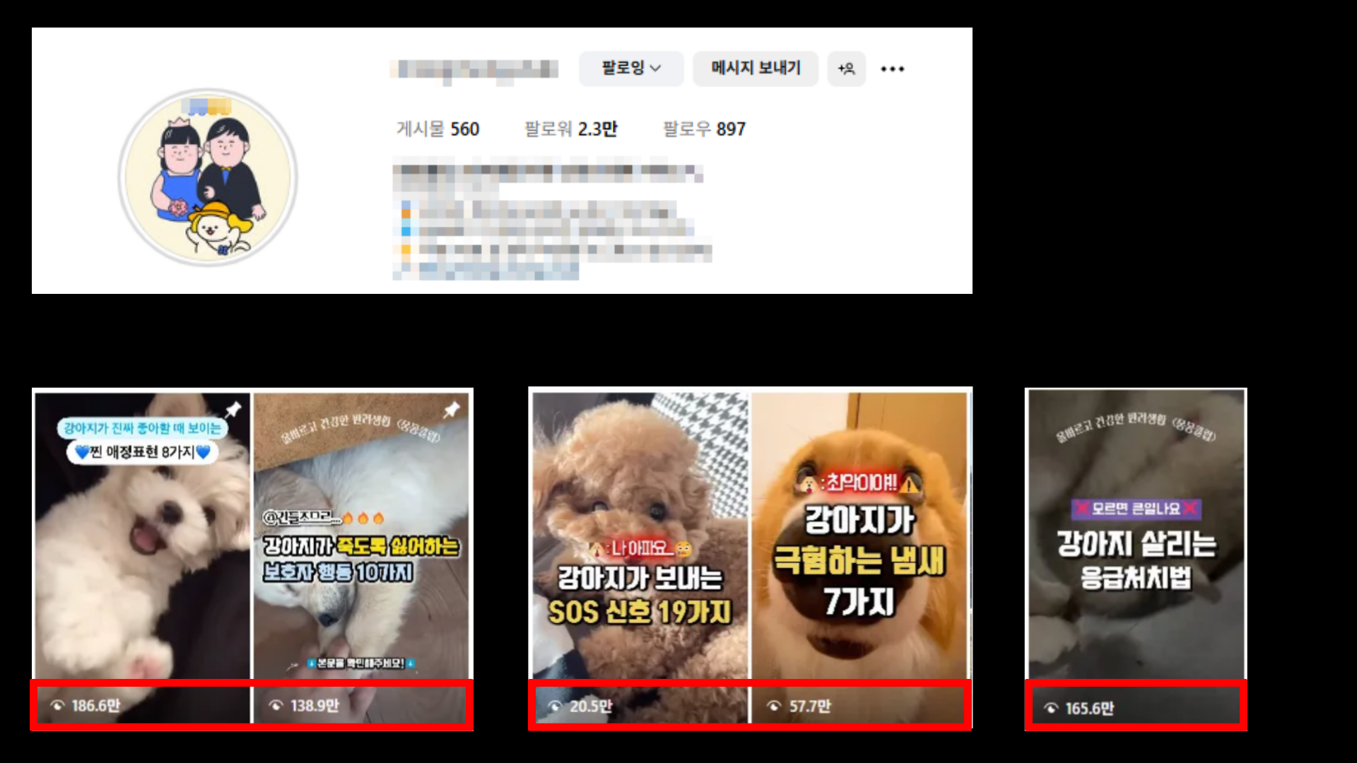 반려견 M사 운영 사례