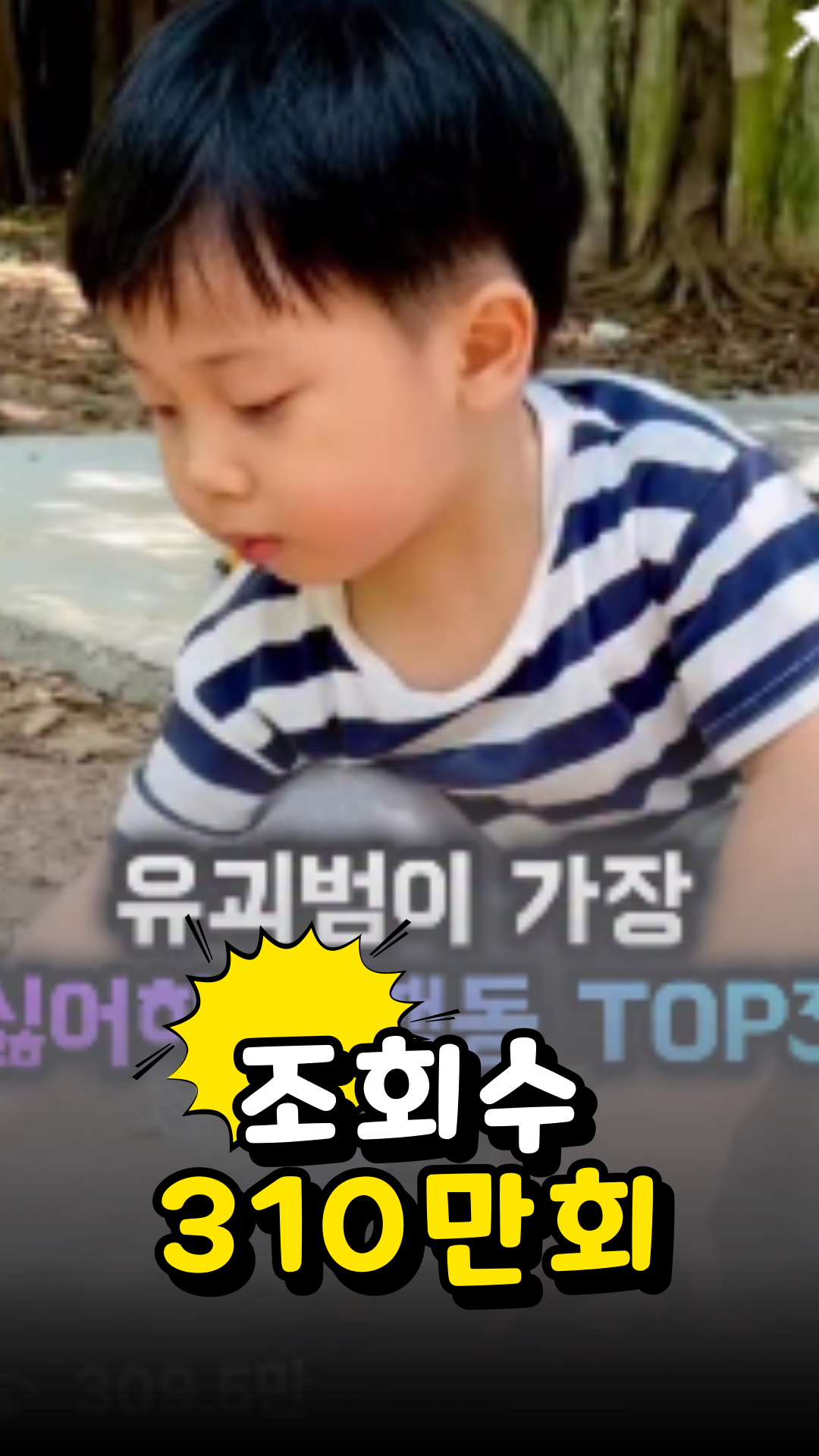 조회수 성과 14