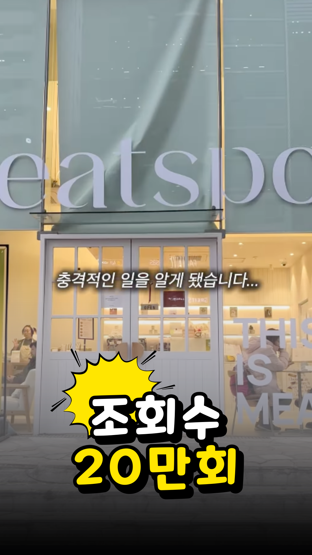 조회수 성과 19