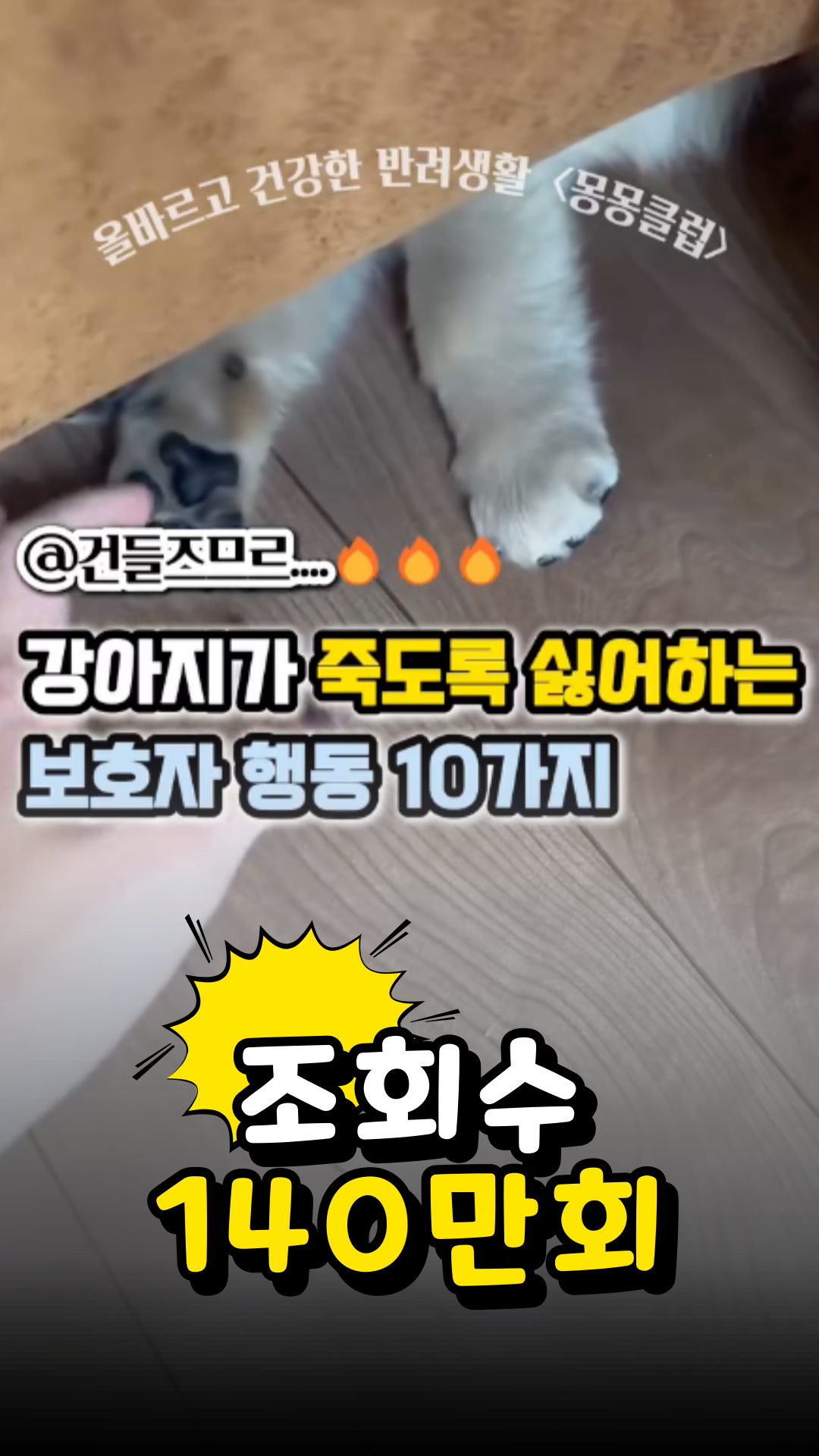 조회수 성과 24