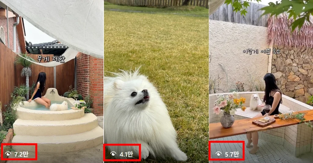 성장 사례 실제 화면 65